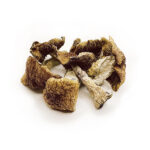 Magic Carpet Magic Mushrooms -Capsules